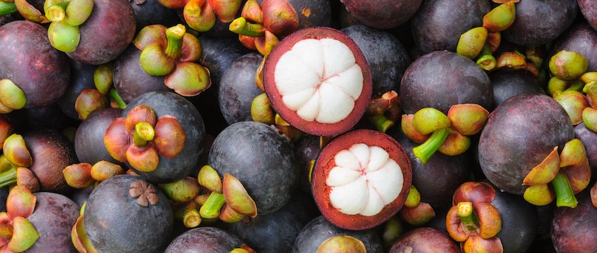 organic mangosteen powder mangosteen benefits