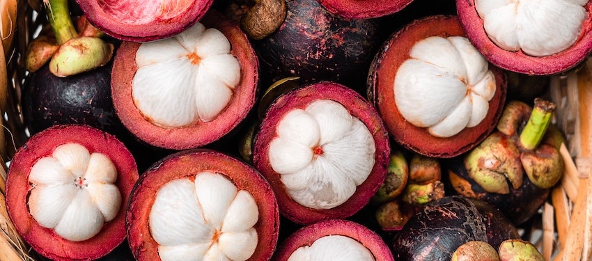 Mangosteen has been long and highly valued for its juicy, delicate texture and slightly astringent flavour, cultivated in Java, Sumatra, Indochina and the southern Philippines from antiquity. It’s a common dooryard tree in Indonesia, Thailand and Myanmar (Burma). 