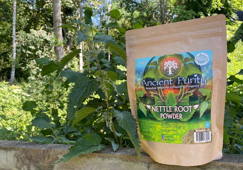 English nettle root powder organic