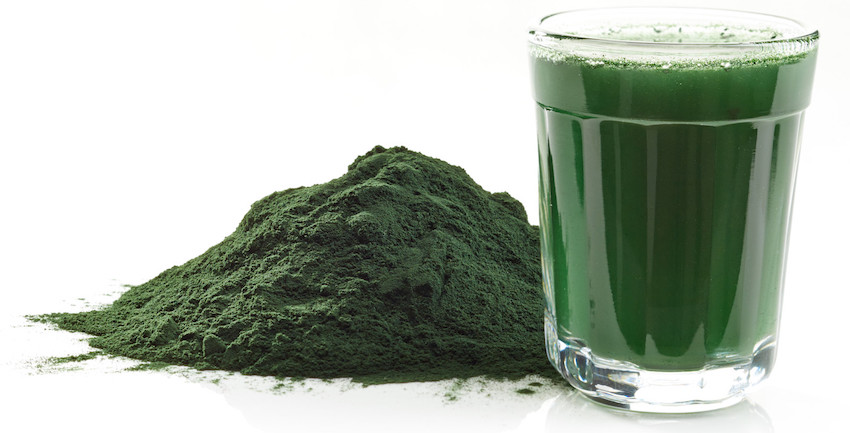 organic spirulina powder