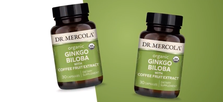 Ginkgo Biloba Coffee Fruit Extract dr Mercola UK 