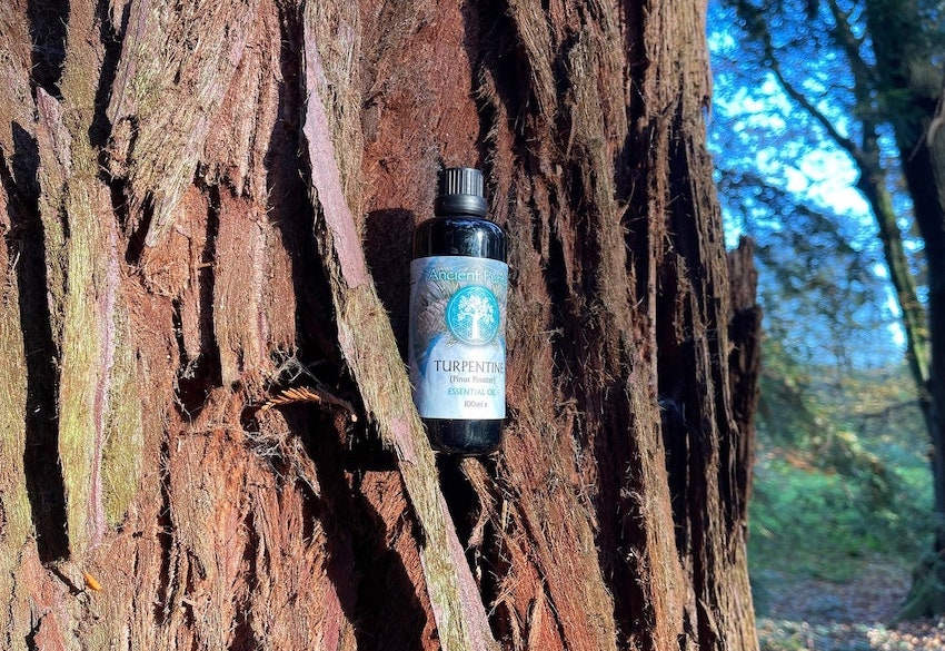 Pine Resin Turpentine Essential Oil - Organic (Pinus Pinaster)