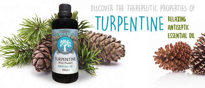 ancient purity turpentine