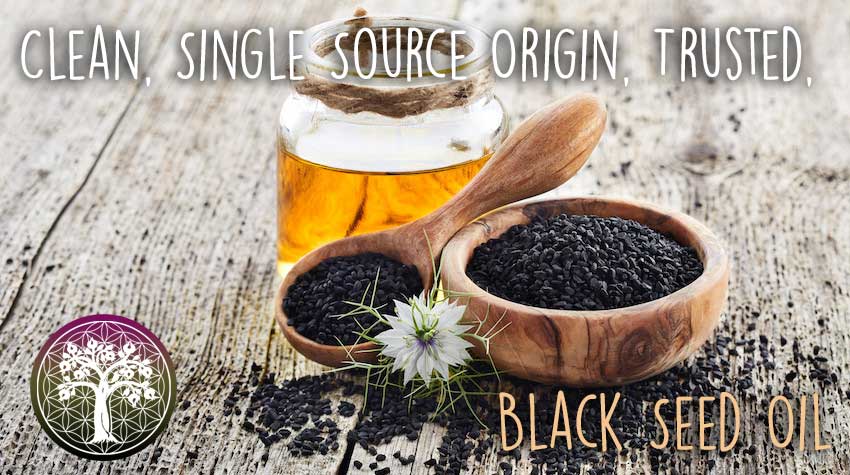 Black Seed Oil - Black Cumin - Essential & Nutritional Oils | Ancient ...