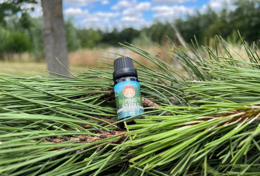 Pine essential oil discount