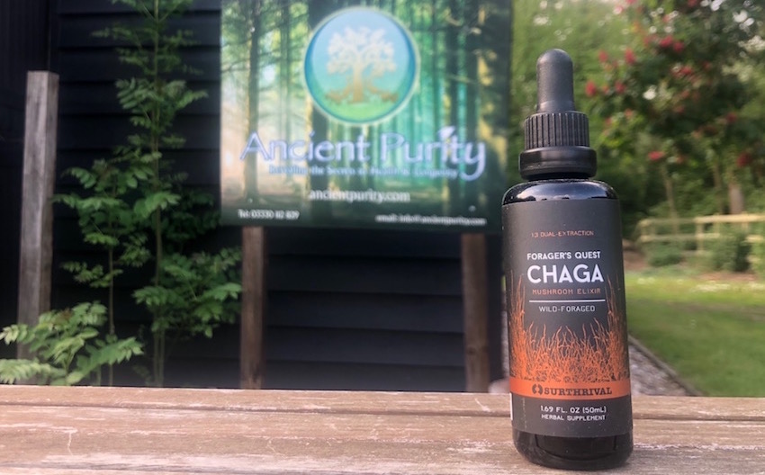 Chaga tincture surthrival UK