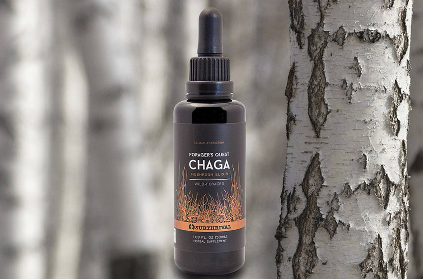 surthrival Chaga UK