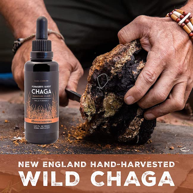 Chaga Tincture can help to effectively decrease dark sunspots that can appear on our skin. Due to its composition and structure, Chaga features some of the richest forms of melanin and pigment available that assists to provide a massive quantity of UV protection. The component melanin is important as it does a terrific job of shielding and shading our skin against dangerous UV beams and sun rays. This can be essential in decreasing intense damage to our skin caused by lengthy sun exposure. The Chaga Tincture provided by Ancient Purity is made with passion from organically-grown mushrooms.