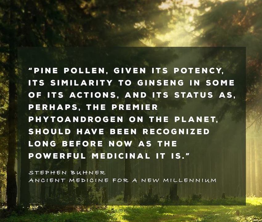 how to use pine pollen