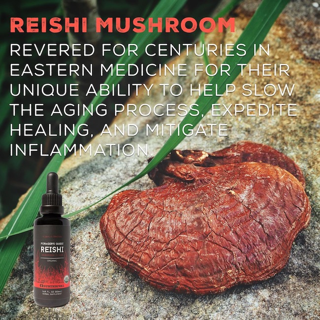Reishi mushrooms have anti-inflammatory properties and are therefore used sometimes for patients who have Alzheimer’s and heart disease. This is based on the idea that inflammation plays a part in each of these conditions. The pain that accompanies other inflammatory conditions like neuralgia and arthritis may also be lessened by reishi mushroom supplements.