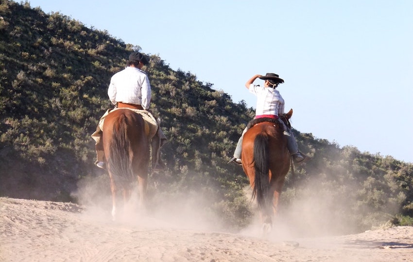 guachos Argentina Bombillas straw natural