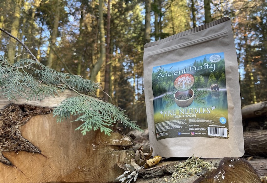The natural benefits of Pine Needle Tea or Pine Leaf Tea are attributed to its antibacterial, analgesic, diuretic, energising, antiseptic, and aromatic properties. Pine Needle Tea has high Vitamin C levels promoting its immunity boosting abilities. Also it has a great unique scent when burned as incense and therefore it is used and revered in aromatherapy. The molecules found in Pine Needles have unique functions in relation to blood clots and protection. They contain Suramin which researchers have praised for its medicinal properties, as well as shikimic acid used in antivirals. Pine Needles are gaining interest because of their power against a unexpected modern enemy of health in 2021, we can't discuss that for obvious reasons but let us tell you as much as we can about this ancient gift from the trees.