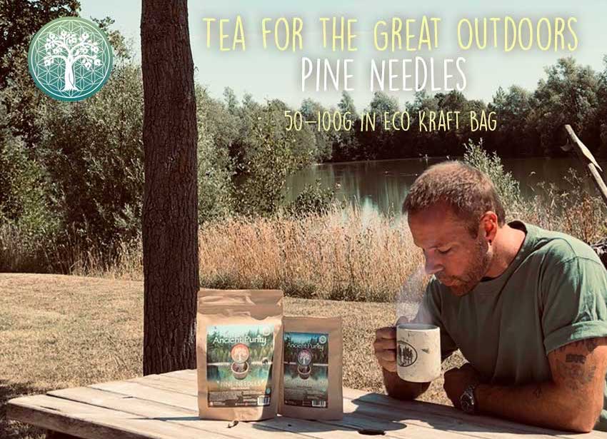 Pine Needle Tea & it's Benefits – Noble & Sunday Tea Merchants