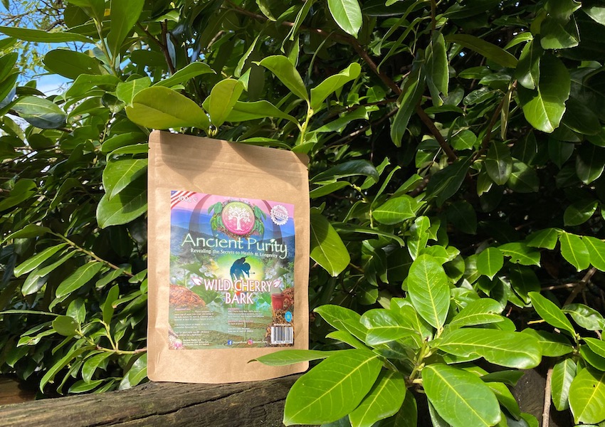 how to use wild cherry bark