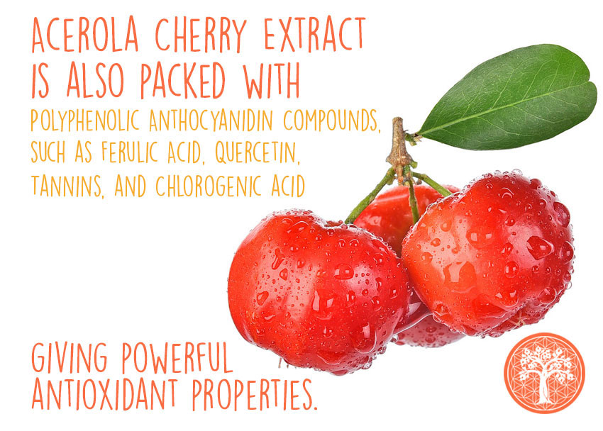 Acerola Cherry Extract