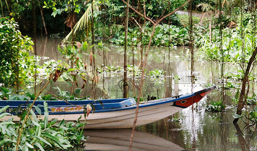 Amazon River Adventures