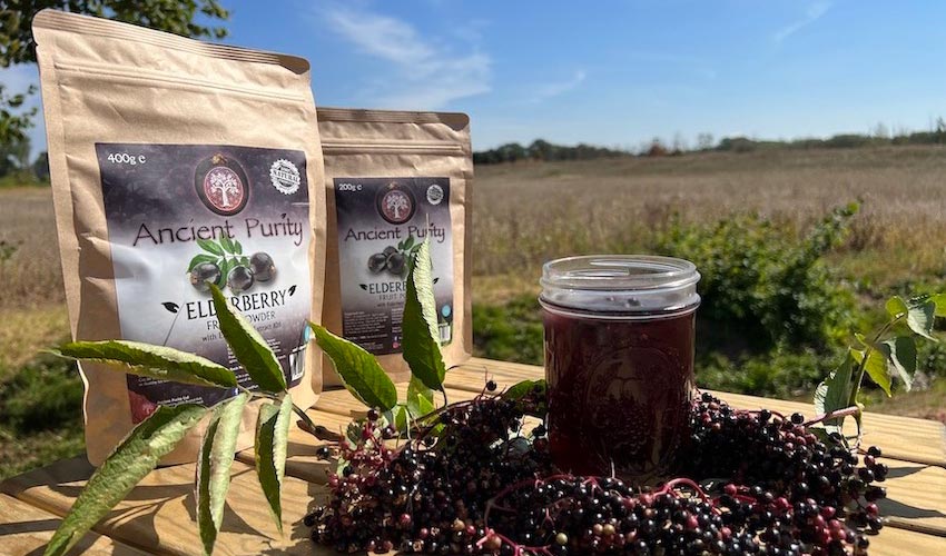 Elderberry Fruit Powder