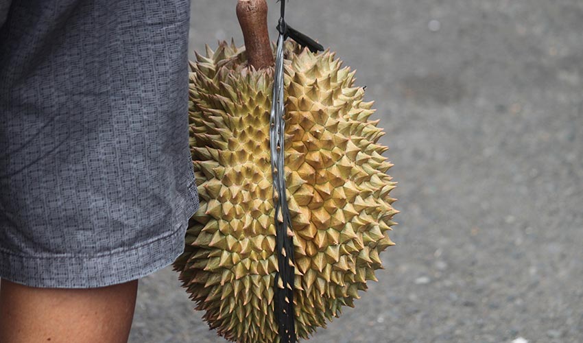 Man Carries Durian