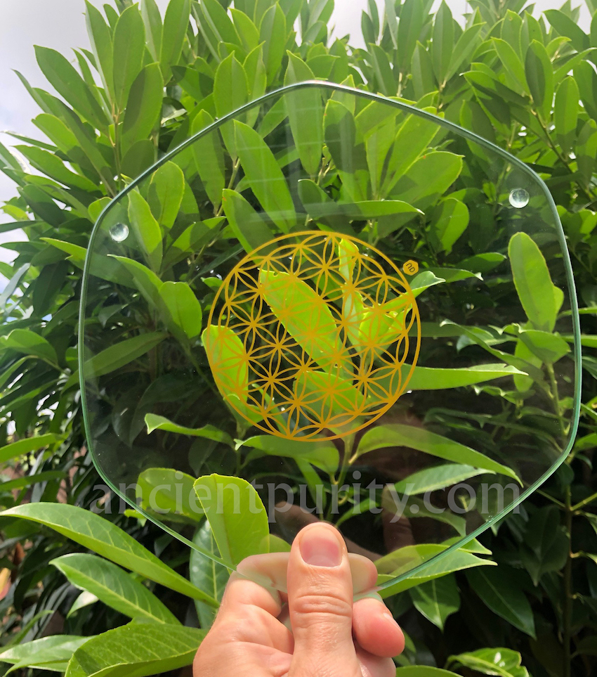 natures design UK plate flower of life