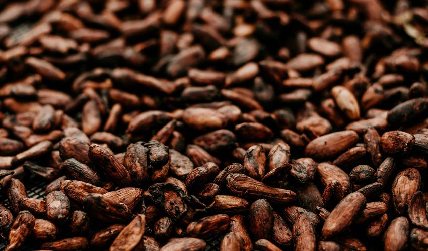 Origins of Ceremonial Cacao