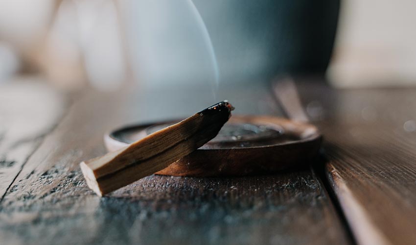 Origins of Palo Santo