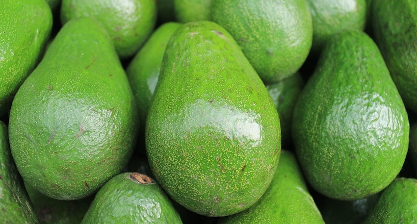 avocado david wolfe beauty