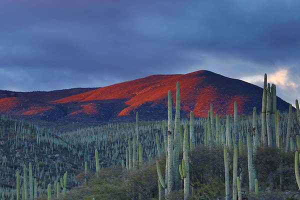 Mexico