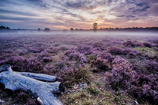 Netherlands