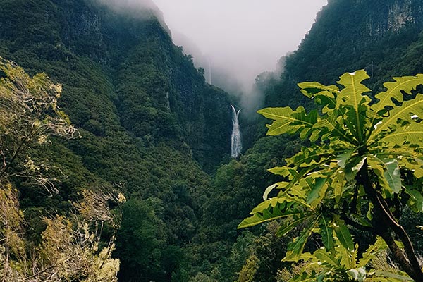 Waterfall in Madeira